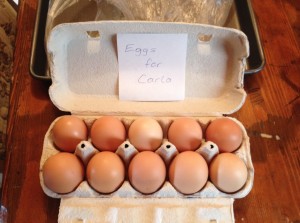 Eggs for Carla